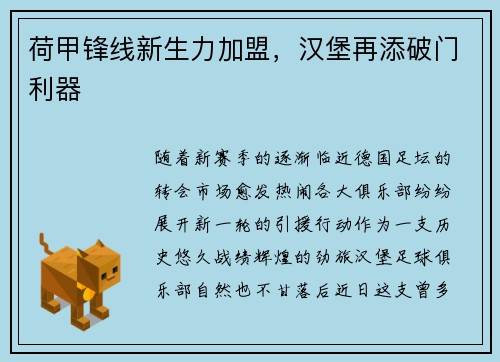 荷甲锋线新生力加盟，汉堡再添破门利器