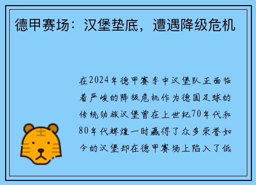 德甲赛场：汉堡垫底，遭遇降级危机