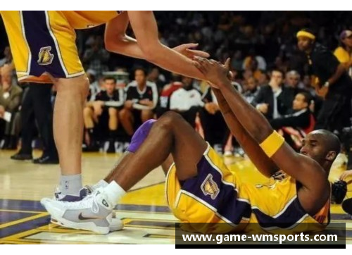 完美体育NBA：超越竞技场，探索篮球文化