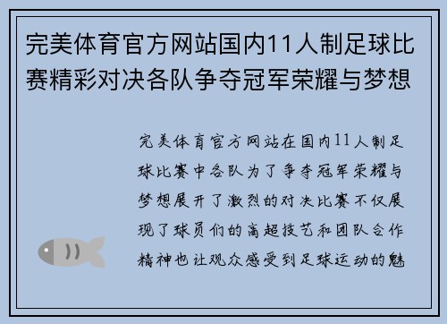 完美体育官方网站国内11人制足球比赛精彩对决各队争夺冠军荣耀与梦想