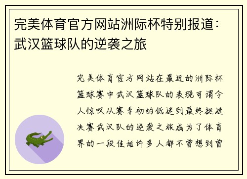 完美体育官方网站洲际杯特别报道：武汉篮球队的逆袭之旅